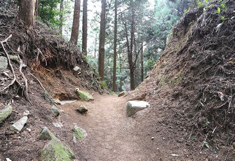 東北門|基肄城跡｜ 構成文化財